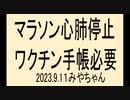 何でもワクチンのせいにする気はないけど、ワクチン手帳は必要だよね