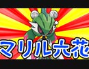 誕生日のマリル六花