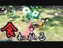 新人救助隊きりたんと行くピクミン4part6