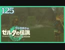 #125【ゼルダの伝説ティアーズオブザキングダム】ちょっと世界を翔けてくる【実況プレイ】