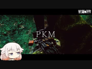 kalashnikov PKM 新機関銃でまったりレイド【ONE実況】【タルコフ】【EFT】