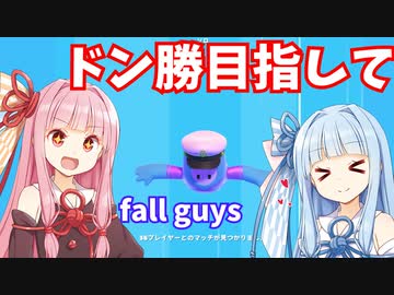 【fallguys】茜ちゃんはドン勝したい