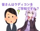 皆さんはウディコンをご存知ですか？
