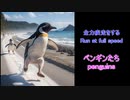 全力で疾走するペンギンたちッ