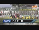 【ウマ娘風】2023年アスター賞(1勝クラス)【キャットファイト】