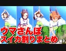 【ウマ娘】ウマさんぽスイカ割りまとめ星1ウマ娘編