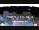 ドラゴンボールザブレイカーズ(switch版)　18