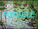 【オリジナル】MIRACLE