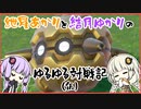 紲星あかりと結月ゆかりのゆるゆる対戦記（仮）　第６章