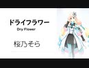 【ドライフラワー/Dry Flower】SynthesizerV 桜乃そら AI【Haruno Sora】【SynthV Cover カバー曲】