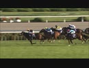 【競馬】　印象に残ったレース　2010年