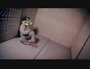 精神患者がUDKを模倣