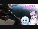【VOICEROIDフィッシング】久しぶりにタモ使えた！【フカセ釣り】