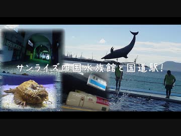 つづみ日和～サンライズ四国水族館と国道駅！～