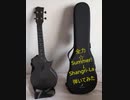 【ヘタレレ】全力☆Summer!→Shangri La/angela【弾いてみた】