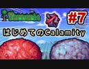 【Terraria】はじめてのCalamity　Part7 【ゆっくり実況】