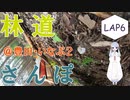 【COEIROINK車載】林道さんぽ＆キャンプ＠いなぶダート林道2/3【セロー】