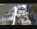 ホモと見る配達員VS大型犬