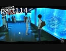 【姉弟そろって】ペルソナ５ ザ・ロイヤル　初見実況プレイ　part114