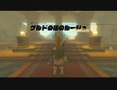 空の島探検するぞ part 8【ゼルダの伝説TotK】