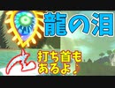 タイトル回収のようなアツさを感じる【ゼルダの伝説 ティアーズ オブ ザ キングダム】#113