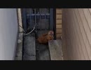 シケキノコ 2023/9/12(火) 20:53開始 ＾＾ﾔﾂﾗから理不尽に嫌がらせを受け続ける栄養不足の日雇い空腹ホームレスが関西灼熱食料探しの旅‥‥‥(貧困スライム)w^^