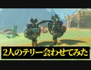 【実況】テリーとテリー会わせてみた【ゼルダの伝説 ティアーズ オブ ザ キングダム】