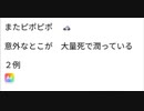 またピポピポ　  意外なとこが　大量死で潤っている  ２例