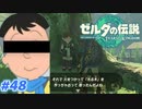 【実況】果てなき冒険は、大空へ広がる【ゼルダの伝説 ティアーズオブザキングダム】＃48
