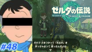 【実況】果てなき冒険は、大空へ広がる【ゼルダの伝説 ティアーズオブザキングダム】＃48