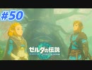 【実況】果てなき冒険は、大空へ広がる【ゼルダの伝説 ティアーズオブザキングダム】＃50