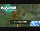 【実況】果てなき冒険は、大空へ広がる【ゼルダの伝説 ティアーズオブザキングダム】＃51