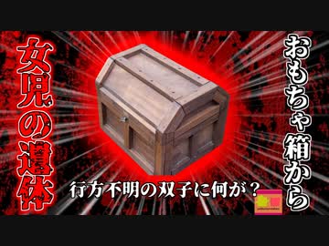 【2023年】消えた双子の娘 おもちゃ箱で遺体となって発見　早朝の子供部屋で何があった？【ゆっくり解説】