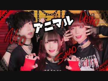 【誕生日!✧︎】アニマル／DECO*27 踊ってみた【ねおだしょすなお】