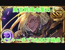 【グラブル】風古戦場開幕直前！ベルゼバブ召喚＋一手の肉集め2400万編成！【琴葉茜】