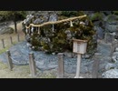 整備が進んだ「さざれ石公園」に行ってきました。
