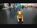 AIBO