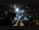 Blessed Assurance  □□ Heavenly Hymns of Faith □ Christian Harp
