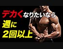 【トレーニング頻度】 デカくなりたいなら1部位 週に2回以上の理由 | パワーリフターが解説【ビーレジェンド プロテイン】