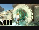 【実況】空の島から始まる新たな冒険【ゼルダの伝説 ティアーズ オブ ザ キングダム】part111