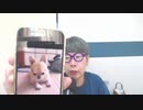 【コメント無】ニンポー 2023年09月14日16時00分 午後のひととき【ニコ生録画】