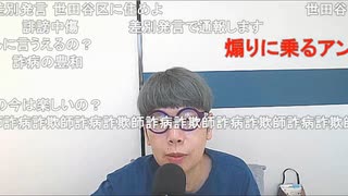 【ニンポー】午後のひととき　その１【ニコ生】