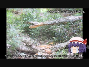 ゆっくり農民220畑を拓いてみませんか？#37