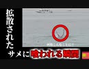 【2023年】サメに食べられながら逃げる男性…一部始終が撮影されたビデオが拡散『エジプト イタチザメ襲撃事故』【ゆっくり解説】