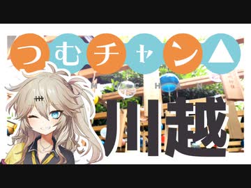 【車載動画】引きこもりオタクですがツーリングさせてください！【川越編】