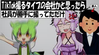 TikTok撮るタイプの会社かと思って絶望したけど、ずんだもんが勝手に撮ってただけ