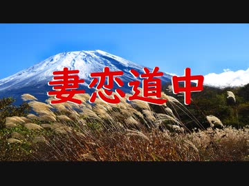 妻恋道中