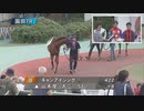 2023年9月14日園田競馬 第３０回ＧＪＣ 紹介式