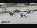 2023年9月14日園田競馬9R 第３０回ＧＪＣ エキサイティングジョッキー賞(C1) ディージェーサン