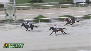 2023年9月14日園田競馬9R 第３０回ＧＪＣ エキサイティングジョッキー賞(C1) ディージェーサン